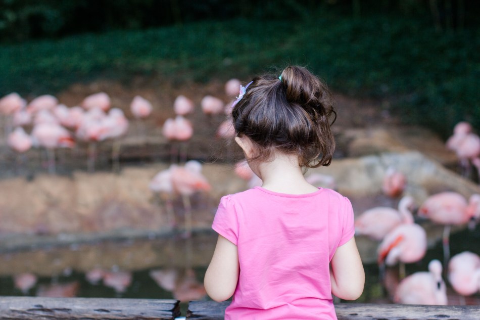 AtlantaZoo (36 von 39)