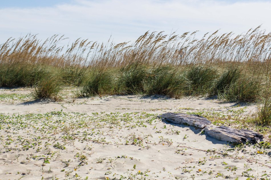 Kerstins Birthday (19 von 63)