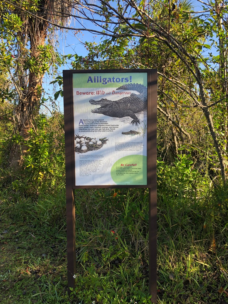 2B206DAE-F0CC-472B-BAC0-02DE7DAEC700