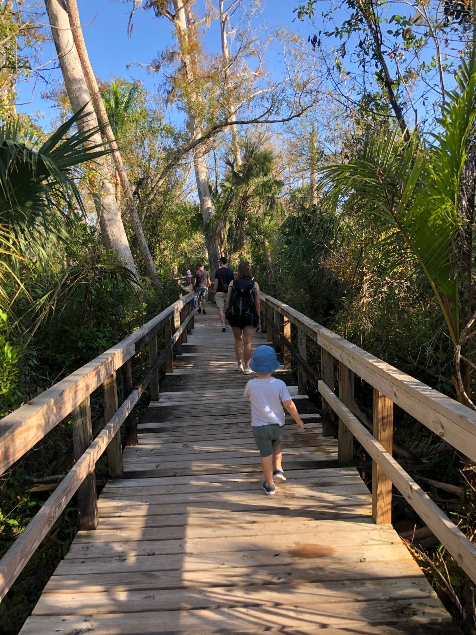 4C3278B9-D065-42E8-A2CC-8DD0A0035957