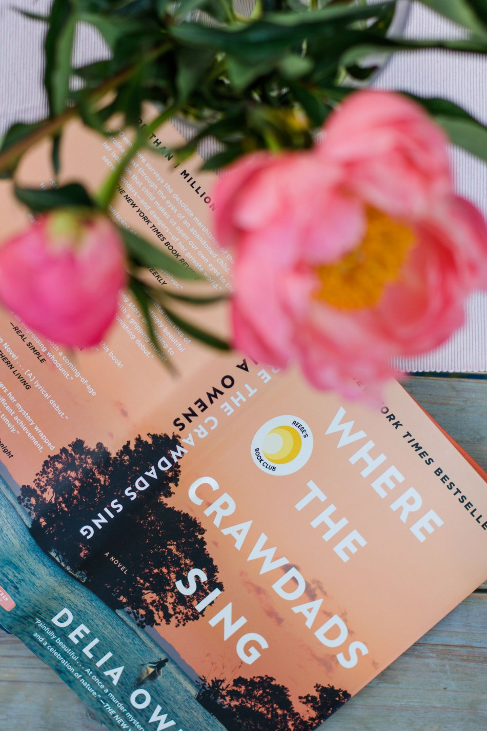 SCHWARZWALD (36 von 157)